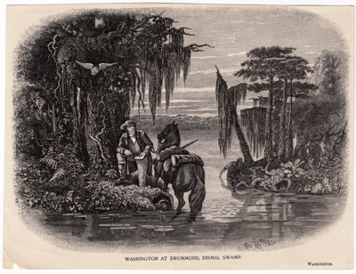 Washington at Drummond, Dismal Swamp